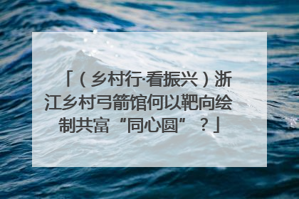 （乡村行·看振兴）浙江乡村弓箭馆何以靶向绘制共富“同心圆”？
