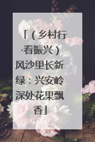 （乡村行·看振兴）风沙里长新绿：兴安岭深处花果飘香