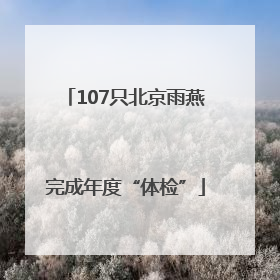 107只北京雨燕完成年度“体检”