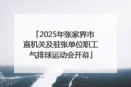 2025年张家界市直机关及驻张单位职工气排球运动会开幕