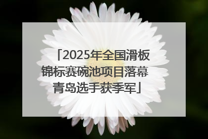 2025年全国滑板锦标赛碗池项目落幕 青岛选手获季军