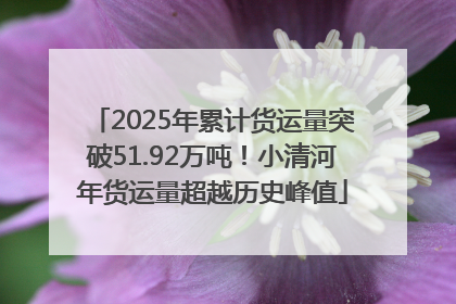 2025年累计货运量突破51.92万吨！小清河年货运量超越历史峰值