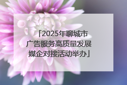 2025年聊城市广告服务高质量发展媒企对接活动举办