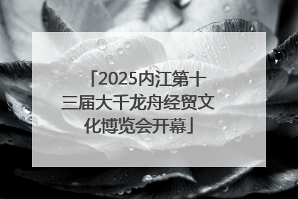 2025内江第十三届大千龙舟经贸文化博览会开幕