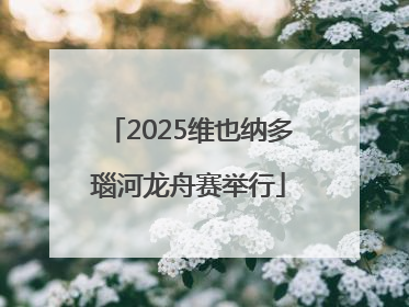 2025维也纳多瑙河龙舟赛举行