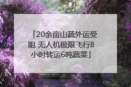 20余亩山蔬外运受阻 无人机极限飞行8小时转运6吨蔬菜