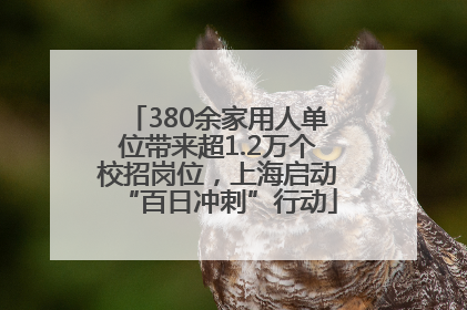 380余家用人单位带来超1.2万个校招岗位，上海启动“百日冲刺”行动