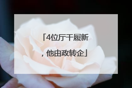 4位厅干履新，他由政转企