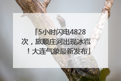 5小时闪电4828次，旅顺庄河出现冰雹！大连气象最新发布