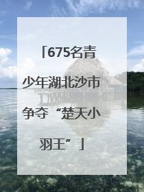675名青少年湖北沙市争夺“楚天小羽王”