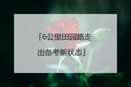 6公里田园路走出备考新状态