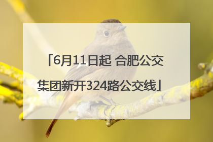 6月11日起 合肥公交集团新开324路公交线