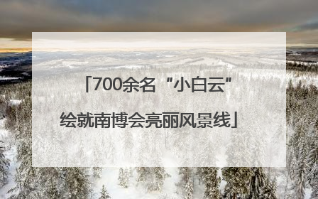 700余名“小白云”绘就南博会亮丽风景线