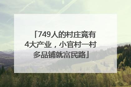749人的村庄竟有4大产业，小官村一村多品铺就富民路
