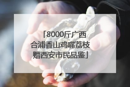 8000斤广西合浦香山鸡嘴荔枝赠西安市民品鉴