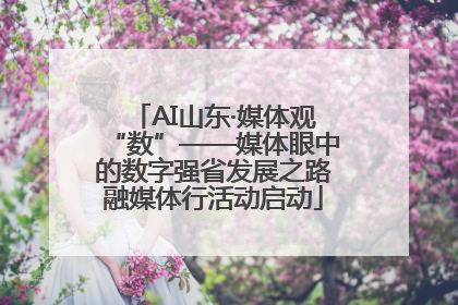 AI山东·媒体观“数”——媒体眼中的数字强省发展之路融媒体行活动启动