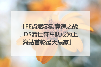 FE点燃零碳竞速之战，DS潘世奇车队成为上海站首轮最大赢家